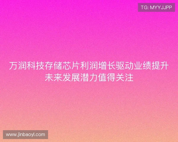 万润科技存储芯片利润增长驱动业绩提升未来发展潜力值得关注